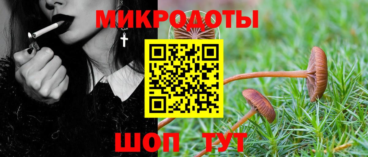 Новосибирск  Галлюциногенные грибы ЛСД  Псилоцибиновые грибы Magic Shrooms  Вход с VPN 